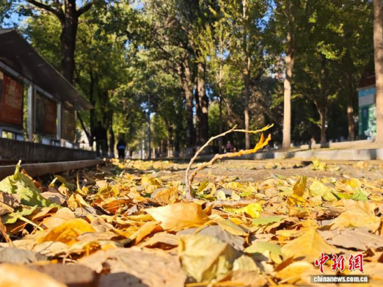 S54·܉܇ؾh(hun)߅L(fng)òS~䁝M· z