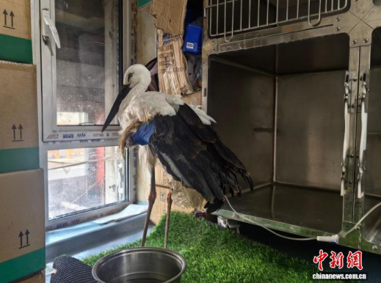 �܂��Ė|�����X���ڽ����ί�����ʯ���� �z