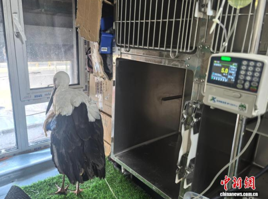 �܂��Ė|�����X���ڽ���ݔҺ�ί�����ʯ���� �z