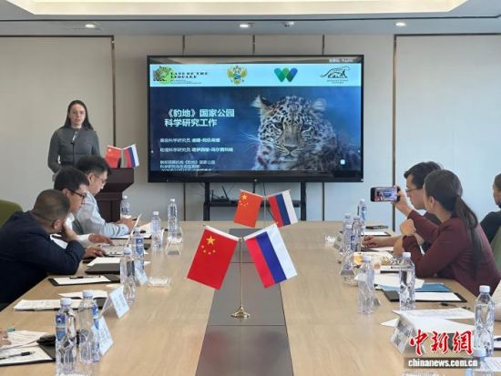 ���_˹���ҷ������o(h��)�|������(j��ng)�(y��n)�������� �z