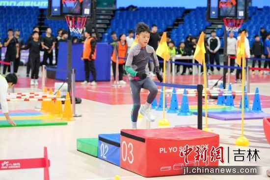 �L���w������/���D