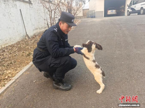 ���Ҳ������c�[�����B(y��ng)�H�ܶ�����ʯ���� �z