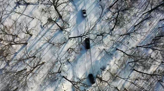 ���c���{܇��Խɭ���� �Ժ���ί���������D