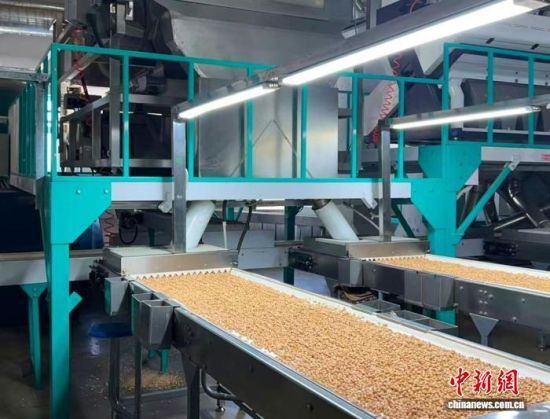 �������a(ch��n)����(�L�����P���D)