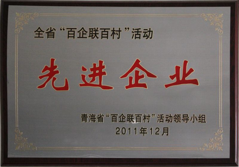 &ldquo;百企聯(lián)百村活動&rdquo;先進(jìn)企業(yè)